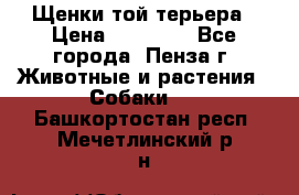 Щенки той терьера › Цена ­ 10 000 - Все города, Пенза г. Животные и растения » Собаки   . Башкортостан респ.,Мечетлинский р-н